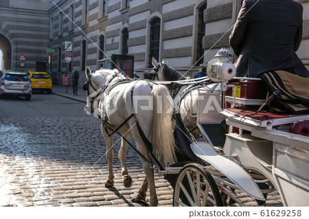 Horse carriage on old city street 61629258