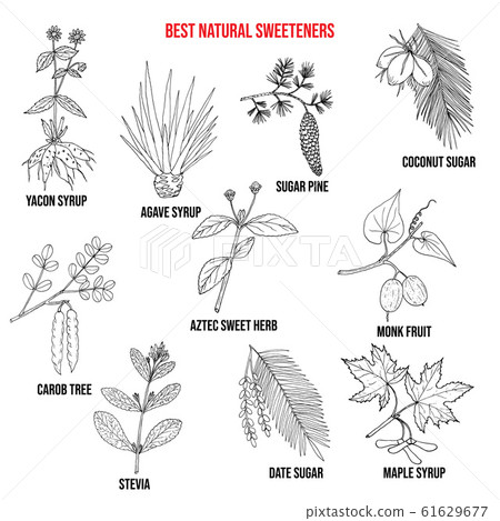 Best natural sweeteners Best natural sweeteners 61629677