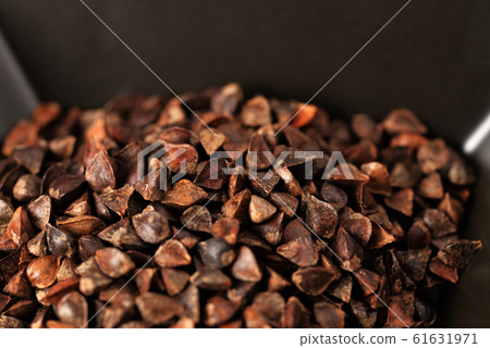 Xuan buckwheat Xuan buckwheat 61631971