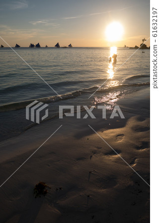 陽光海岸 陽光海岸 61632197