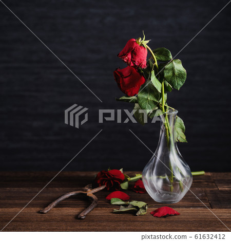 Withered rose Valentine withered rose Rose Rose Withered rose Valentine withered rose Rose Rose 61632412