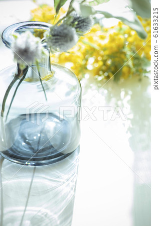 Plants, flowers, vases 61633215