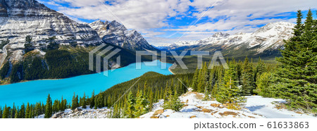 alberta, forest, glacier 61633863