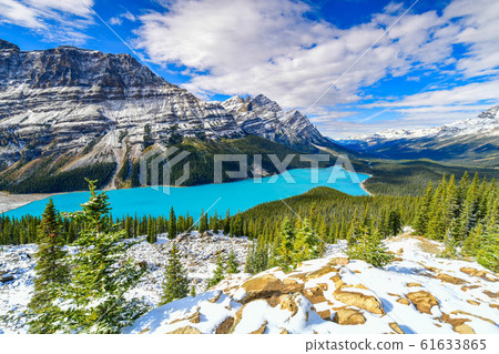 alberta, forest, glacier 61633865