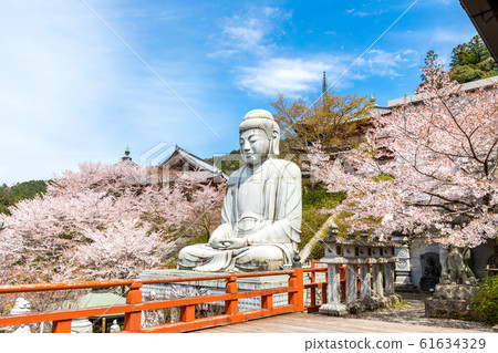 坪坂石佛像和櫻花 61634329