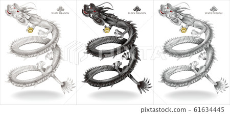 龍神的插圖 龍神的插圖 61634445