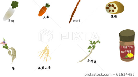 Ingredients for roots with kanji - Stock Illustration [61634485] - PIXTA
