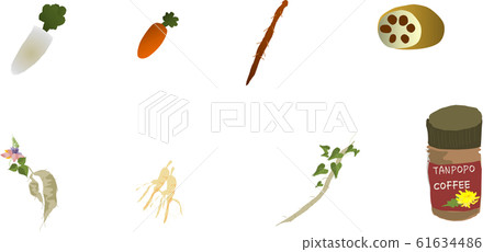 Root ingredients - Stock Illustration [61634486] - PIXTA
