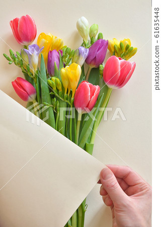 Bouquets Of Tulips and Freesia flowers 61635448