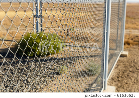 Metal wire fence or wire mesh steel Metal wire fence or wire mesh steel 61636625