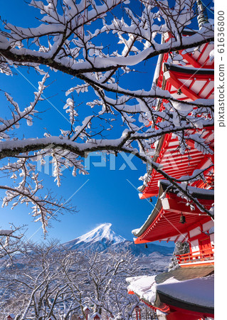 《Yamanashi Prefecture》 Snow-covered Mt. Fuji and the five-storied pagoda・Winter Niikurayama Sengen Park 《Yamanashi Prefecture》 Snow-covered Mt. Fuji and the five-storied pagoda・Winter Niikurayama Sengen Park 61636800