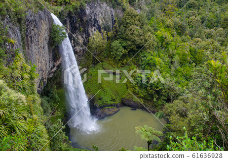Bridal Veil Falls Waterfall in Waikato, New Zealand 61636928