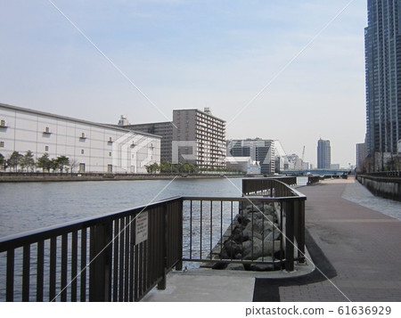 Scenery of Toyosu Scenery of Toyosu 61636929