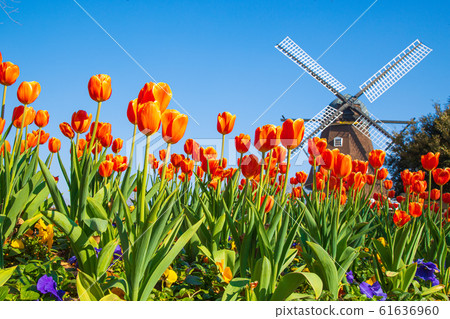 船橋安徒生公園 船橋安徒生公園 61636960