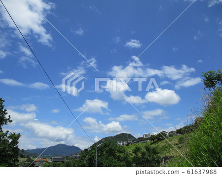 Looking up at the blue sky from the hill Looking up at the blue sky from the hill 61637988