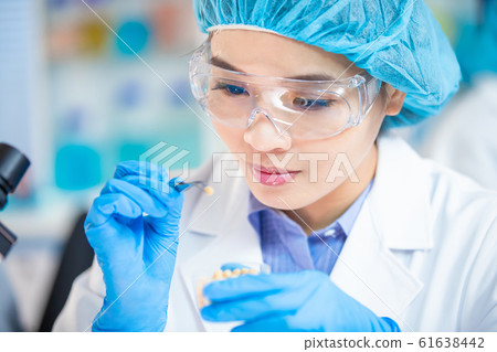 Food Safety Concept Food Safety Concept 61638442
