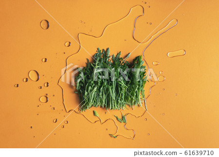 Arugula leaves on orange background and water. Arugula leaves on orange background and water. 61639710