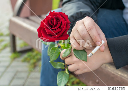 view of the hand of a man with a red rose in his hand 61639765