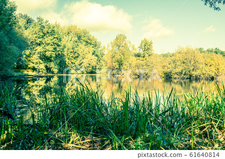 Photo of lake, picturesque landscape Photo of lake, picturesque landscape 61640814