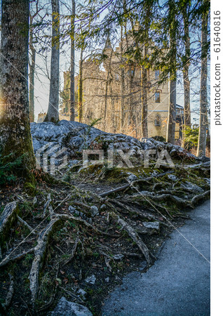 Hohenschwangau Castle, Germany Hohenschwangau Castle, Germany 61640816