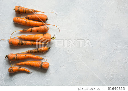 Ugly organic carrot eaten by pests, spoiled. 61640833