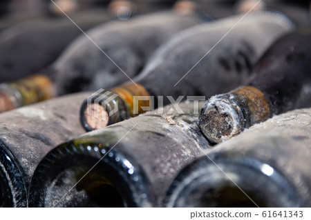 Closeup dark dusty wine bottles with old crumbly cork. Long aging, musty winery vault, rare ancient collection, cork worm 61641343