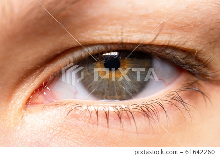 young girl's eye close up macro 61642260
