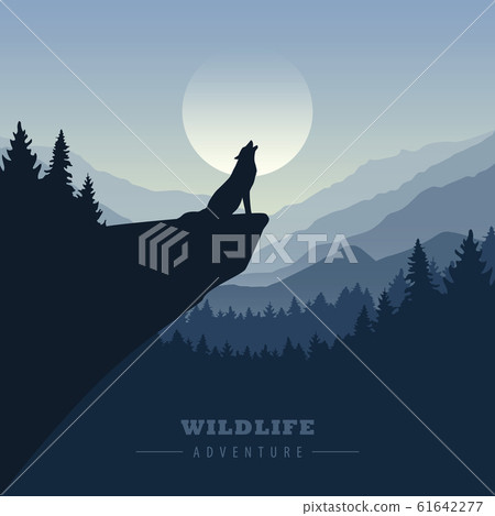 wolf on a cliff howls at full moon blue nature landscape 61642277