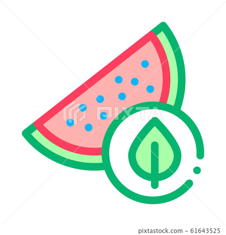 Watermelon Leaf Icon Vector Outline Illustration Watermelon Leaf Icon Vector Outline Illustration 61643525