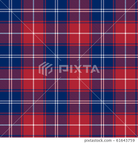 Patriotic Tartan  of White, Blue, Red Seamless 61643759