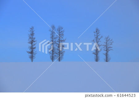 輕度七山丘冬季 輕度七山丘冬季 61644523