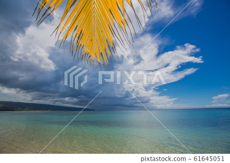 palm trees over tropical lagoon with wild beach 61645051