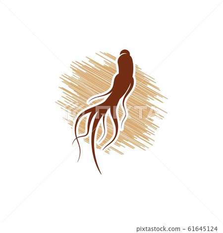 Ginseng vector icon illustration Ginseng vector icon illustration 61645124