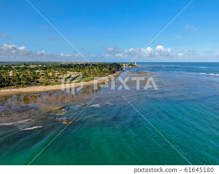 Aerial view of Praia Do Forte coastline village with beach and blue clear sea water 61645180