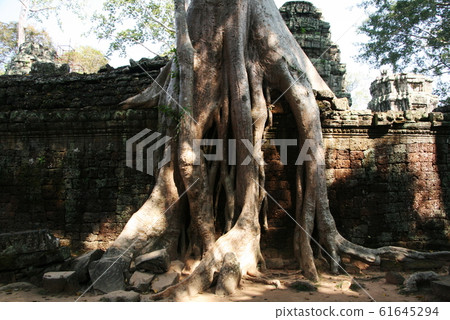 柬埔寨世界遺產吳哥窟吳哥窟 柬埔寨世界遺產吳哥窟吳哥窟 61645294