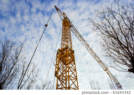 Yellow construction tower crane and bare tree branches against the blue sky. Yellow construction tower crane and bare tree branches against the blue sky. 61645342