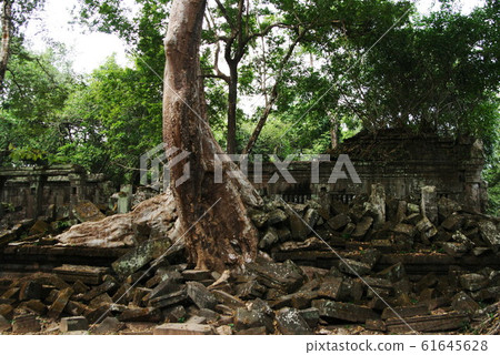 柬埔寨世界遺產吳哥考古遺址本梅里亞 61645628