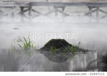 "Steam fog" in the park pond, storm and storm 61647113