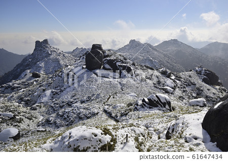 屋久島[雪雪奧克達克]從宮之岳到黑龍岳 61647434