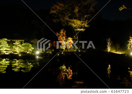 Shinshoji Temple Light Up 2018no1 61647723