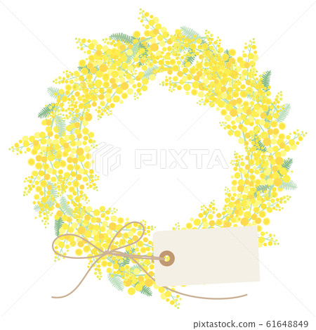 Mimosa Natural Wreath 61648849