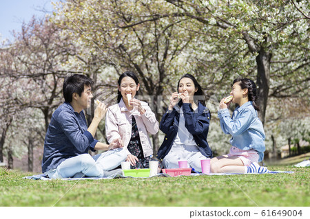 Cherry-blossom family 61649004