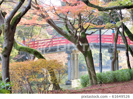 秋天的紅橋 秋天的紅橋 61649526