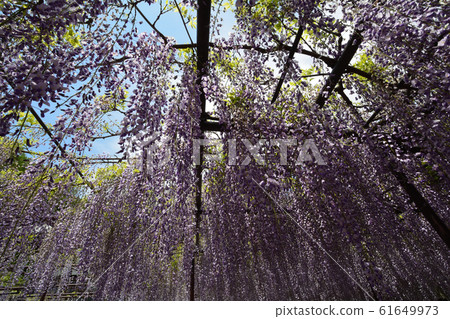 我們去看了千千寺的無印#21 我們去看了千千寺的無印#21 61649973