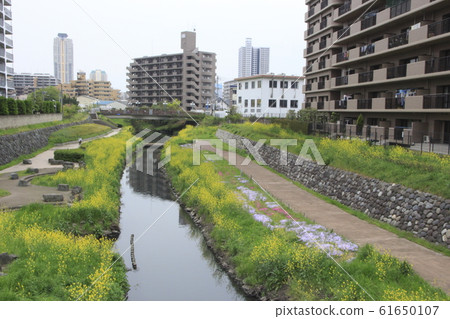 芝川前流經川口市（旭橋下游景觀） 61650107