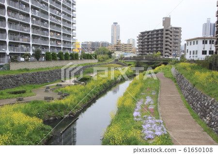 芝川前流經川口市（旭橋下游景觀） 61650108