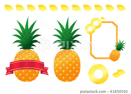 pineapple  61650592