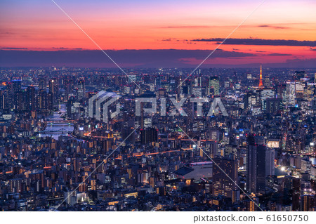《Tokyo》 Night view of Tokyo city and city center 《Tokyo》 Night view of Tokyo city and city center 61650750