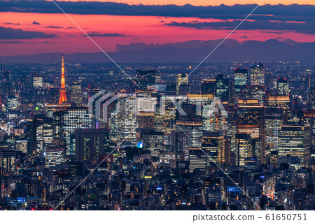 《Tokyo》 Night view of Tokyo city and city center 61650751