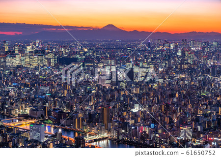 《Tokyo》 Night view of Tokyo city and city center 61650752